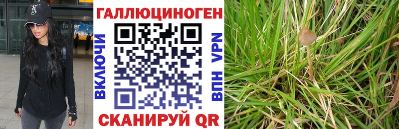 Галлюциногенные грибы прущие грибы  KRAKEN онион  Йошкар-Ола 